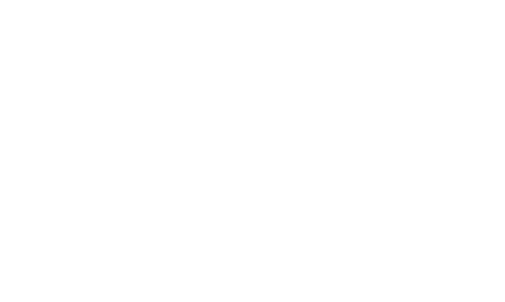 PNY Logo
