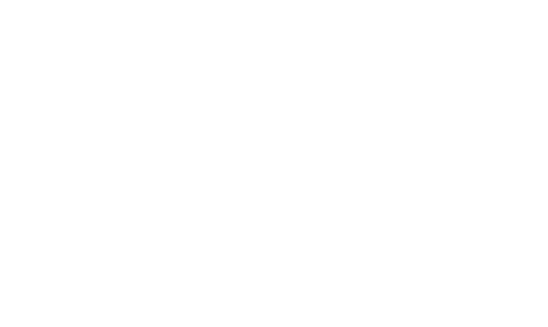 WD Logo